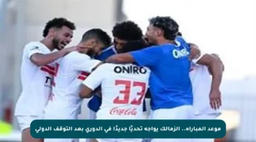 موعد المباراة.. الزمالك يواجه تحديًا جديدًا في الدوري بعد التوقف الدولي
